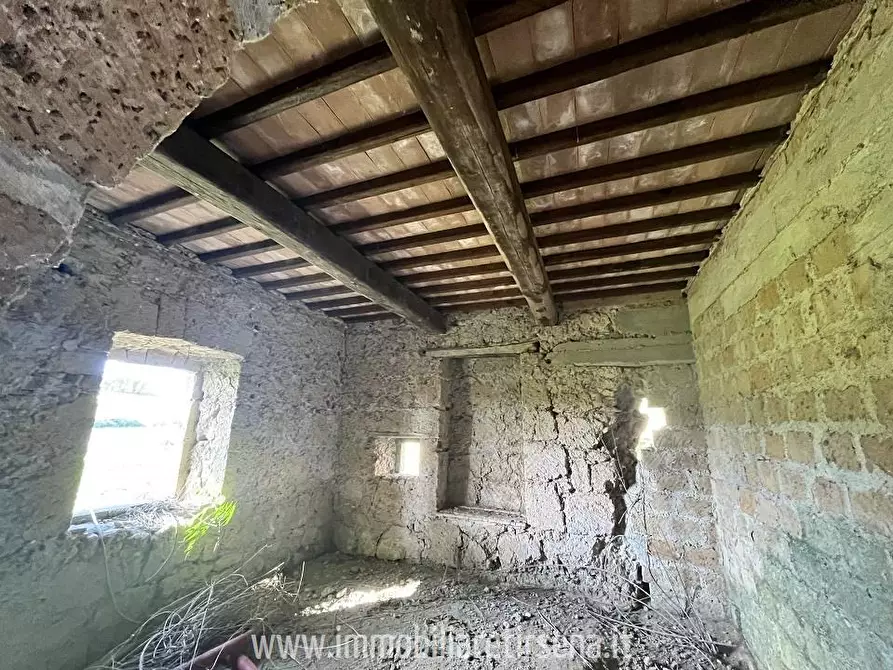 Immagine 7 di Rustico / casale in vendita  a Orvieto
