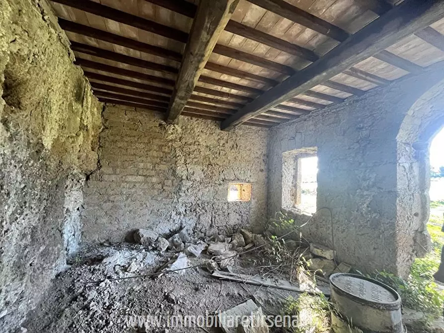 Immagine 8 di Rustico / casale in vendita  a Orvieto