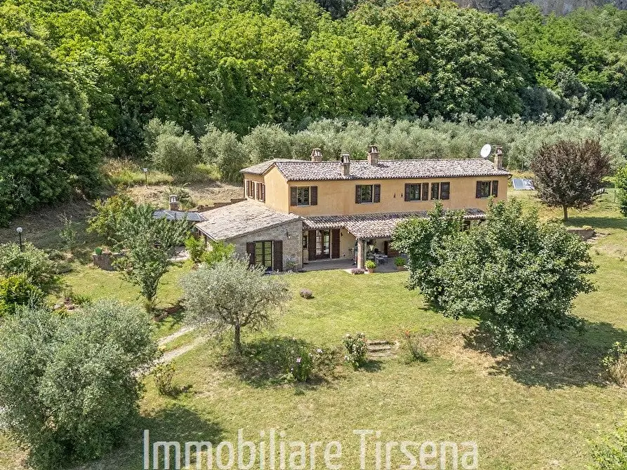 Immagine 4 di Rustico / casale in vendita  a Orvieto