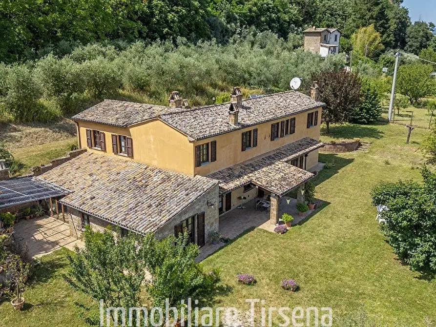 Immagine 5 di Rustico / casale in vendita  a Orvieto