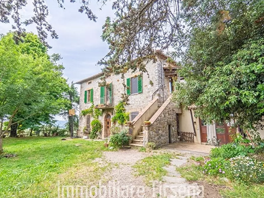 Immagine 3 di Rustico / casale in vendita  a Orvieto