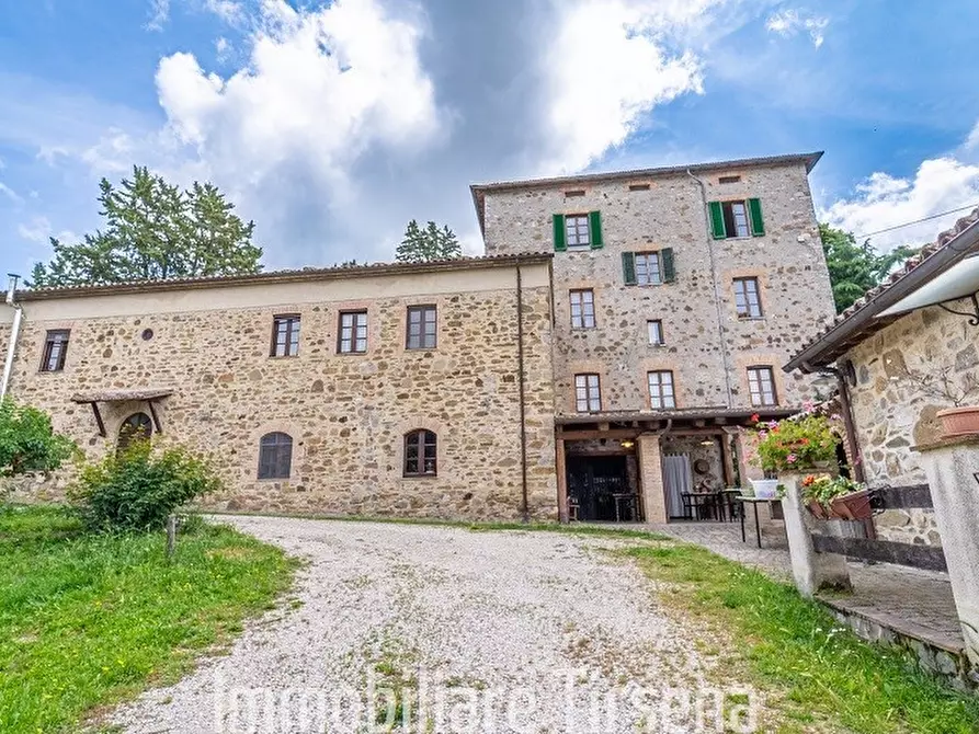 Immagine 5 di Rustico / casale in vendita  a Orvieto