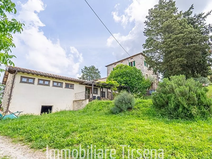 Immagine 7 di Rustico / casale in vendita  a Orvieto
