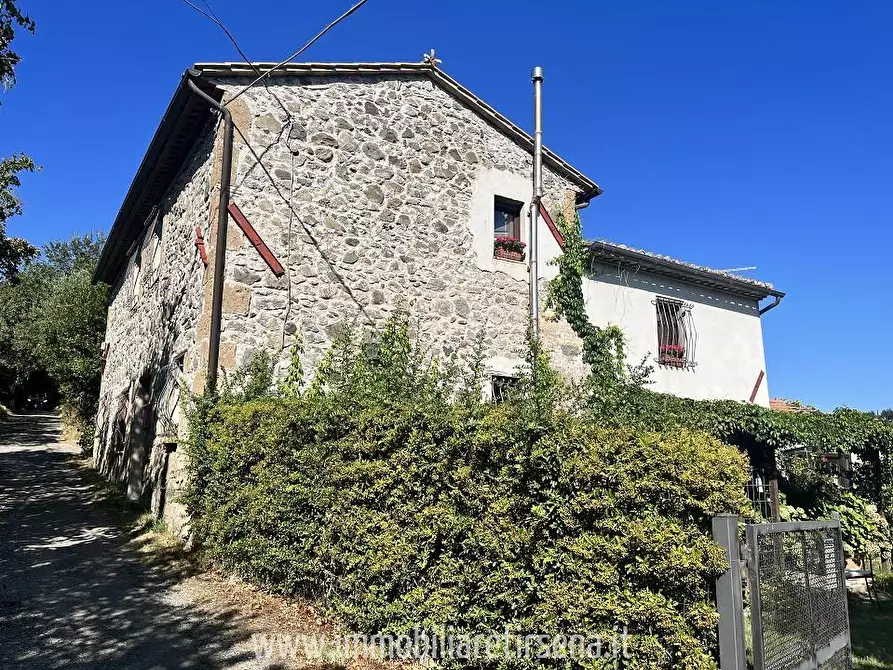 Immagine 1 di Rustico / casale in vendita  a Orvieto