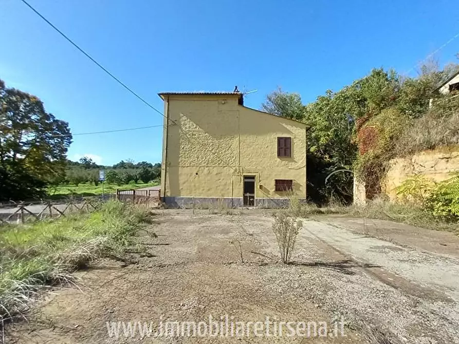 Immagine 4 di Rustico / casale in vendita  a Orvieto