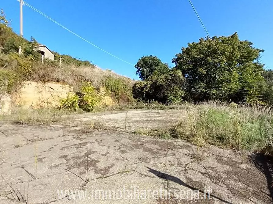 Immagine 5 di Rustico / casale in vendita  a Orvieto