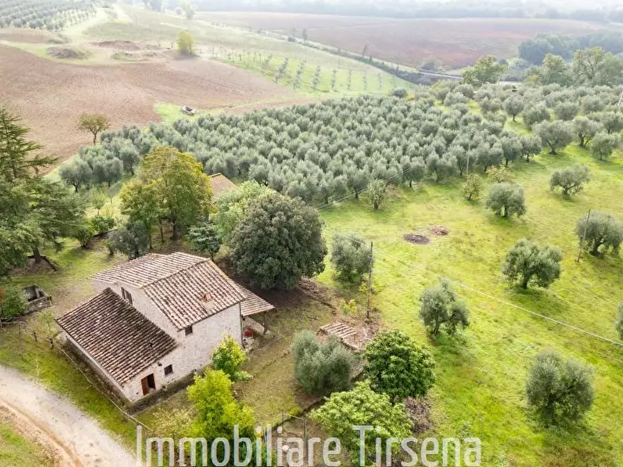 Immagine 2 di Rustico / casale in vendita  a Orvieto
