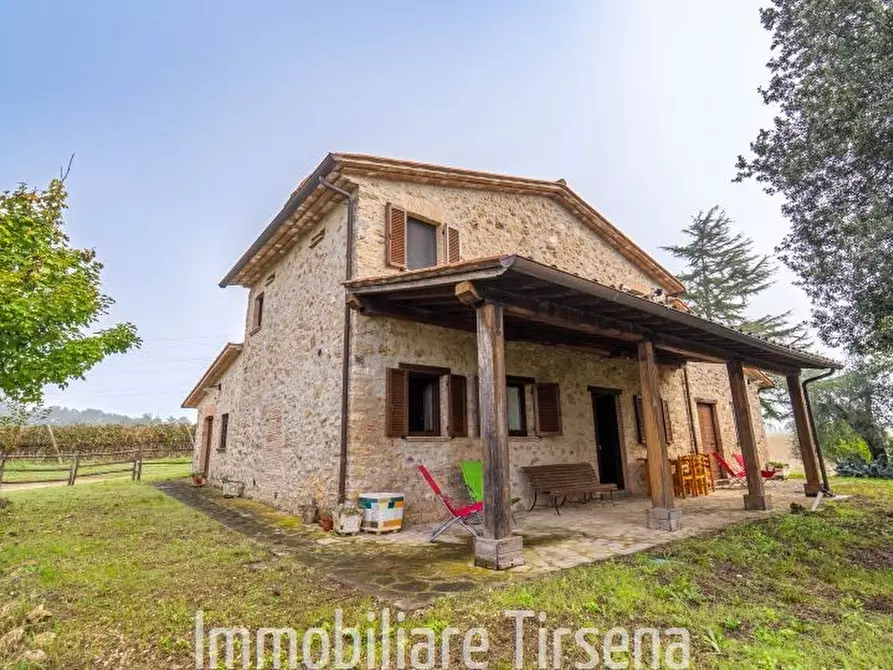 Immagine 3 di Rustico / casale in vendita  a Orvieto