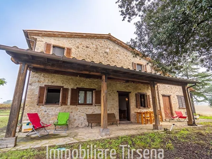 Immagine 4 di Rustico / casale in vendita  a Orvieto