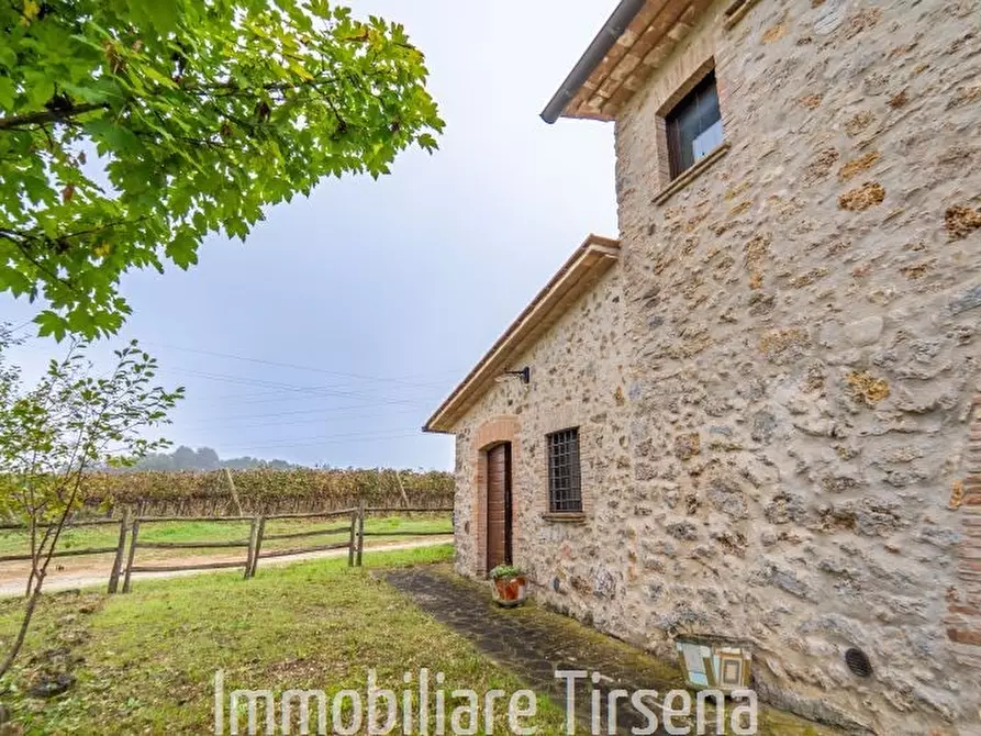Immagine 7 di Rustico / casale in vendita  a Orvieto