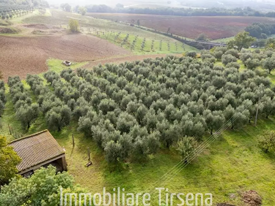 Immagine 8 di Rustico / casale in vendita  a Orvieto