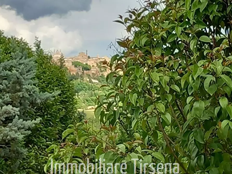 Immagine 5 di Rustico / casale in vendita  a Orvieto
