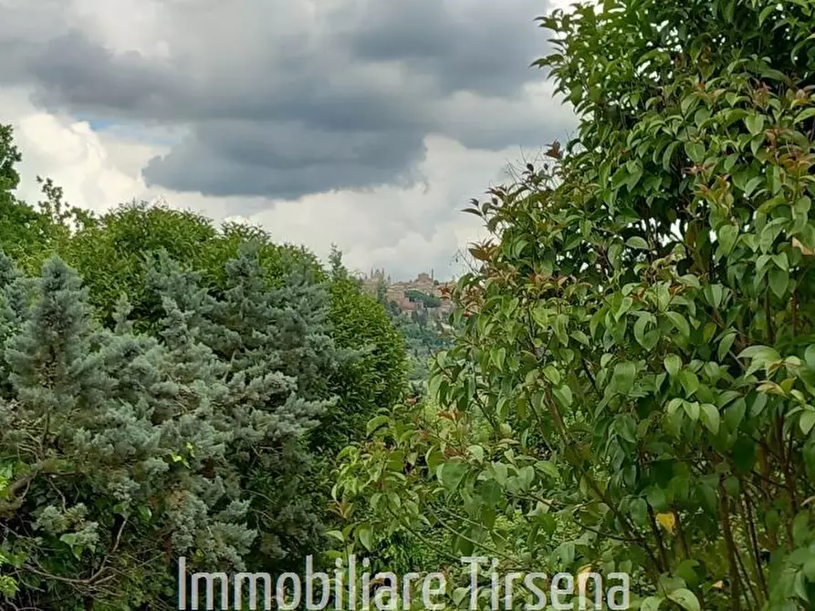 Immagine 7 di Rustico / casale in vendita  a Orvieto