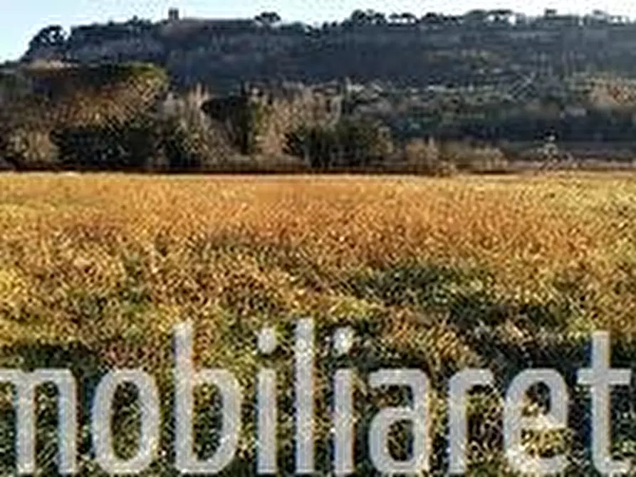 Immagine 1 di Terreno agricolo in vendita  a Orvieto