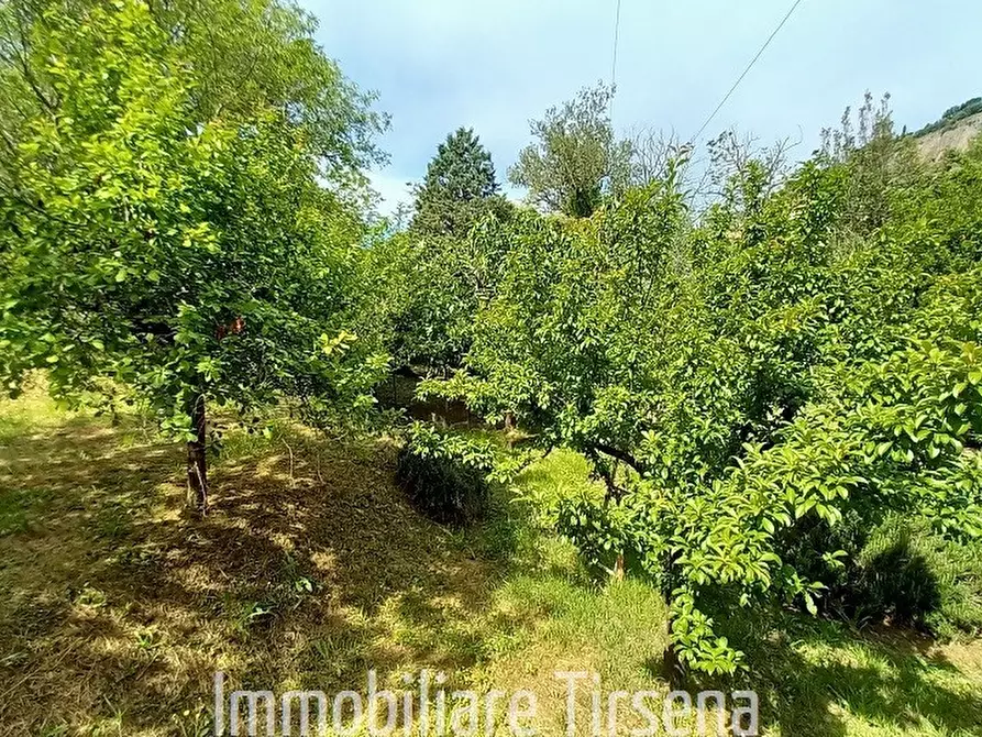 Immagine 3 di Appartamento in vendita  a Orvieto