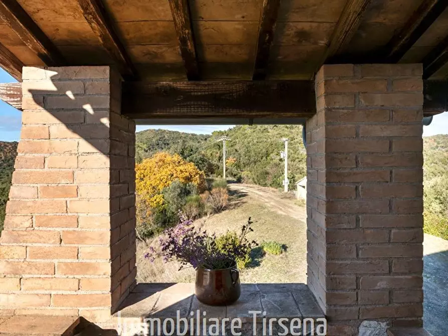 Immagine 5 di Rustico / casale in affitto  a Orvieto