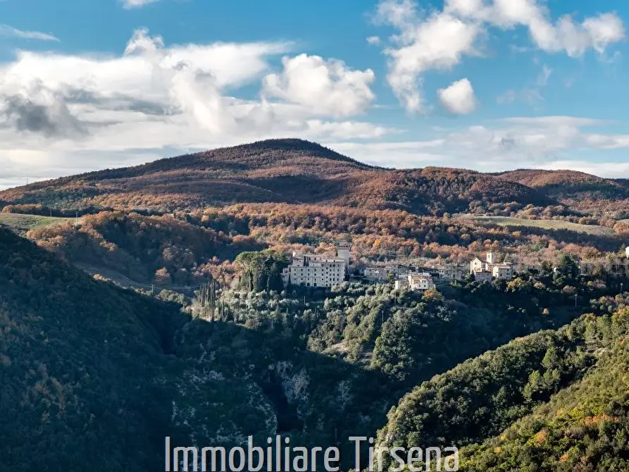 Immagine 6 di Rustico / casale in affitto  a Orvieto