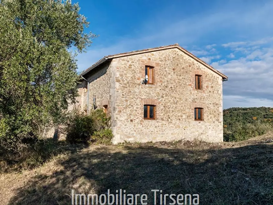 Immagine 7 di Rustico / casale in affitto  a Orvieto