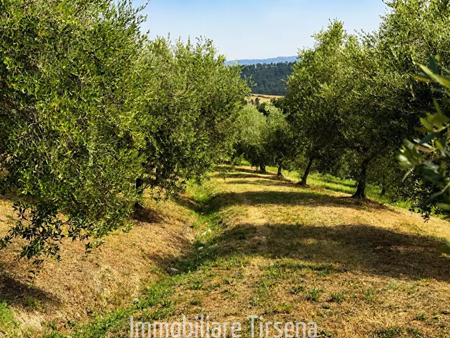 Immagine 2 di Rustico / casale in vendita  in Strada Provinciale 82, Fabro Scalo a Fabro