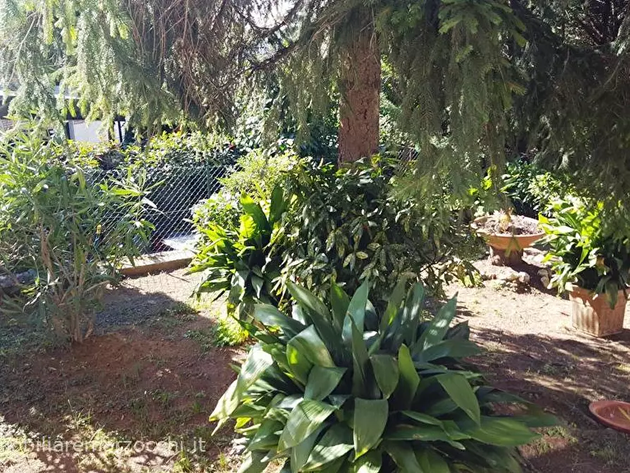 Immagine 3 di Appartamento in vendita  in Via di Colledoro, 5b a Siena