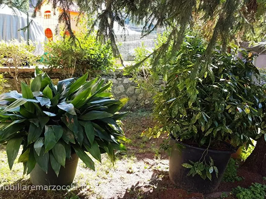 Immagine 6 di Appartamento in vendita  in Via di Colledoro, 5b a Siena