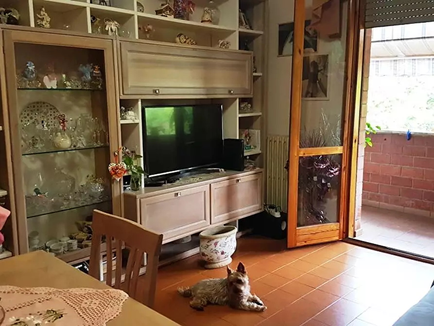 Immagine 6 di Appartamento in vendita  a Siena