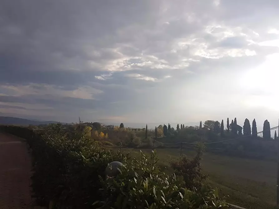 Immagine 3 di Appartamento in vendita  in Via Poggio Perini, 49 a Sovicille