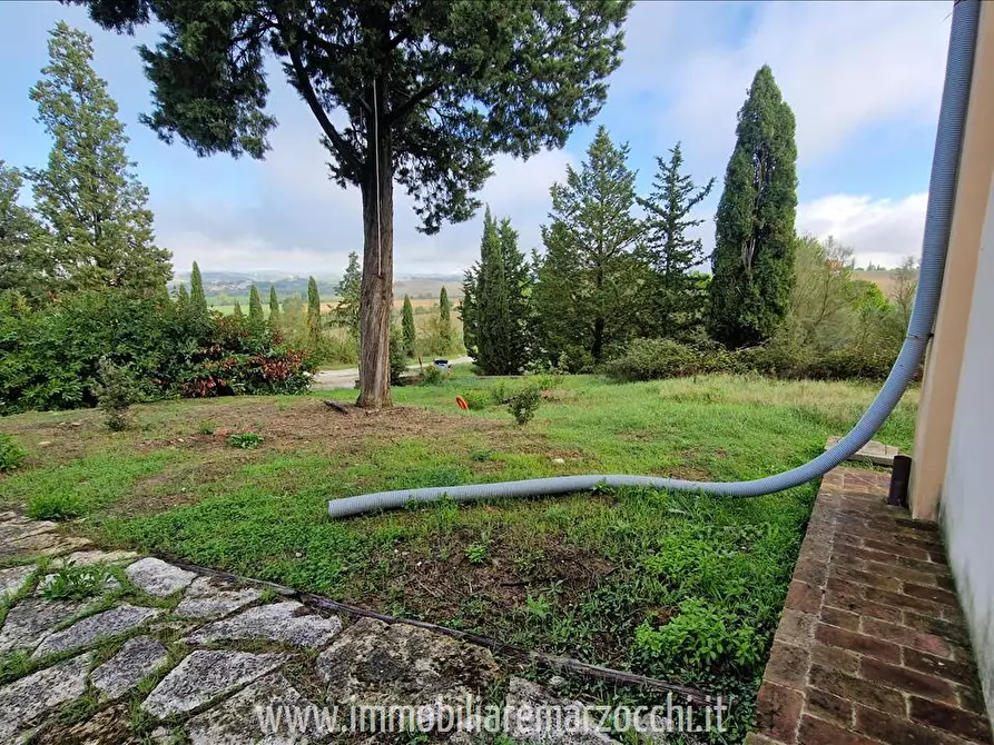 Immagine 3 di Rustico / casale in vendita  in Str. di Salteano a Asciano