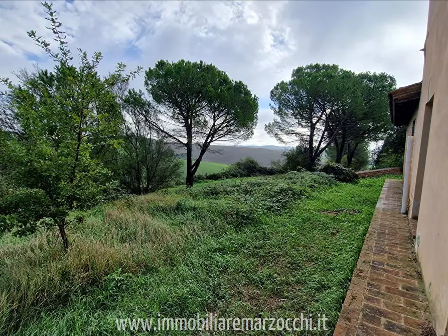 Immagine 5 di Rustico / casale in vendita  in Str. di Salteano a Asciano