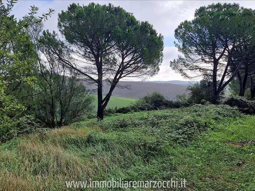 Immagine 6 di Rustico / casale in vendita  in Str. di Salteano a Asciano