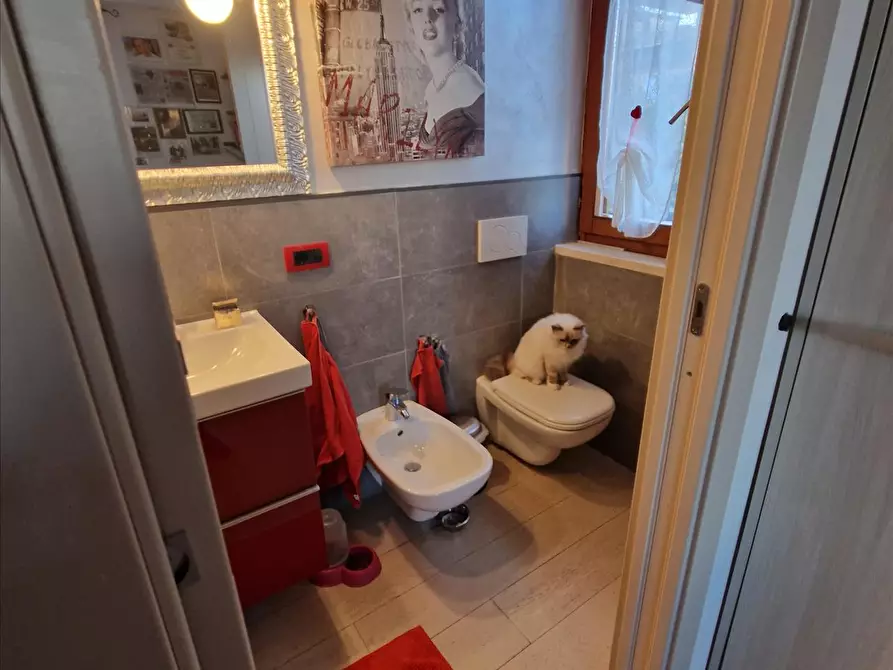 Immagine 10 di Appartamento in vendita  in Guido Rossa a Castelnuovo Berardenga