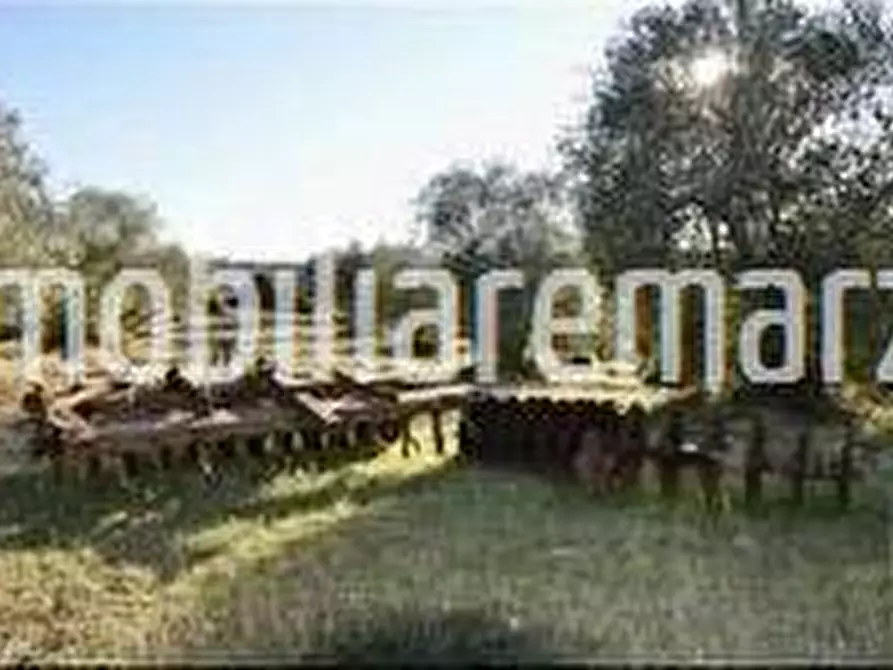 Immagine 5 di Rustico / casale in vendita  in Via delle Piagge, 2 a Cinigiano