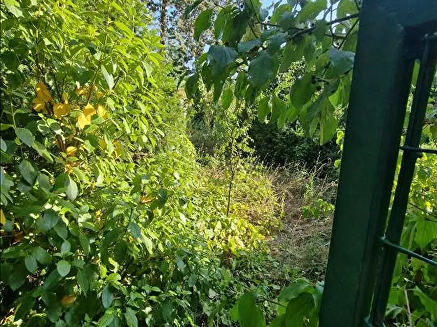 Immagine 10 di Appartamento in vendita  in Via Carlo Borgheri, a Castellina In Chianti