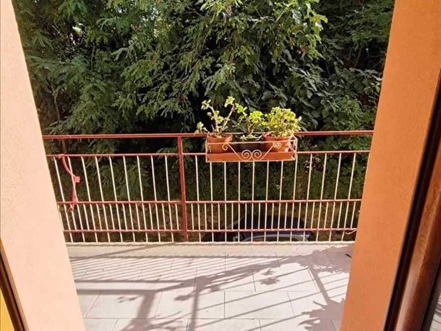 Immagine 7 di Appartamento in vendita  in Via Rutilio Manetti, 3 a Siena