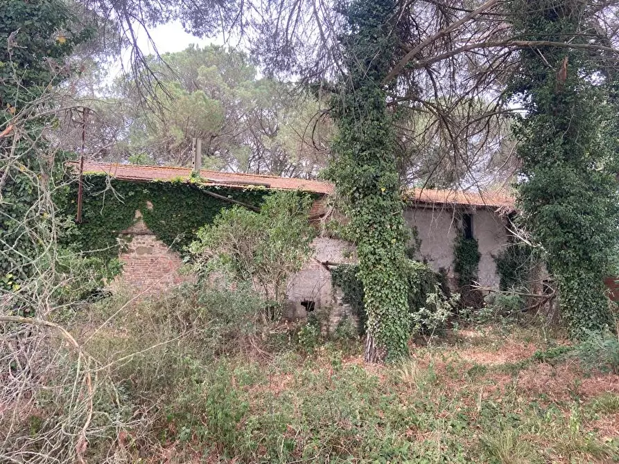 Immagine 10 di Azienda agricola in vendita  in Via Vitellino, 72 a Castiglione Del Lago