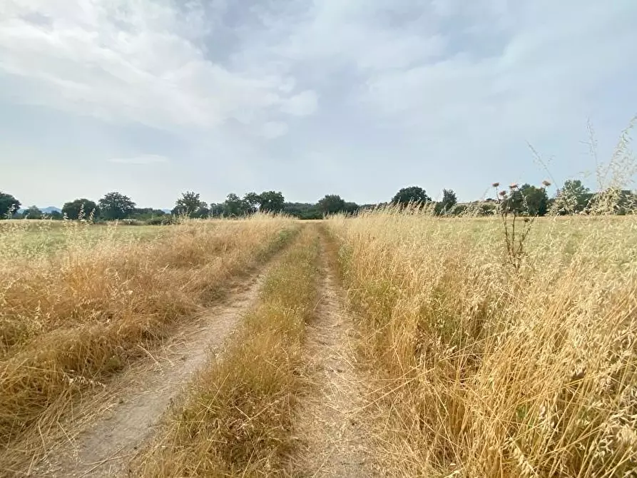 Immagine 1 di Azienda agricola in vendita  in Via Vitellino, 72 a Castiglione Del Lago