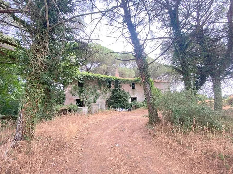 Immagine 6 di Azienda agricola in vendita  in Via Vitellino, 72 a Castiglione Del Lago