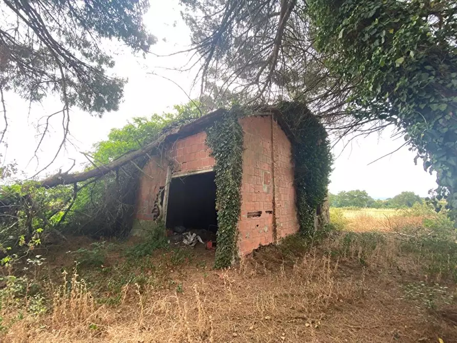 Immagine 8 di Azienda agricola in vendita  in Via Vitellino, 72 a Castiglione Del Lago