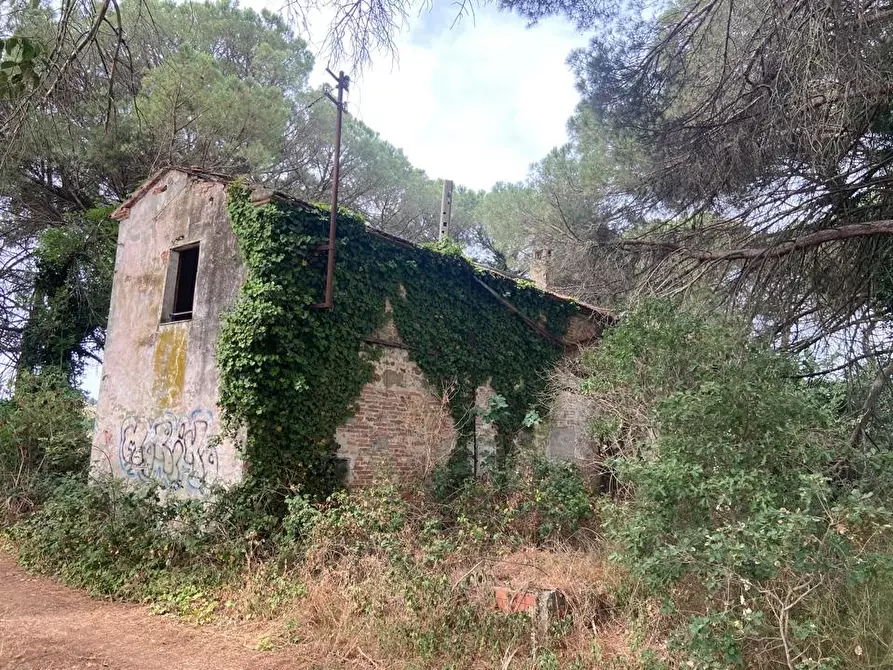 Immagine 2 di Azienda agricola in vendita  in Via Vitellino, 72 a Castiglione Del Lago