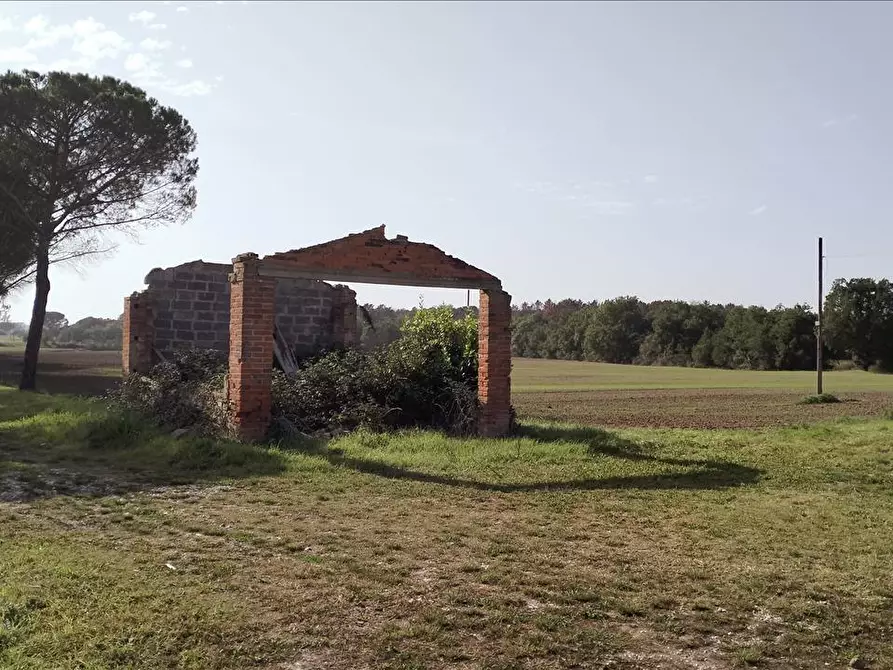 Immagine 9 di Azienda agricola in vendita  in via Piana a Castiglione Del Lago