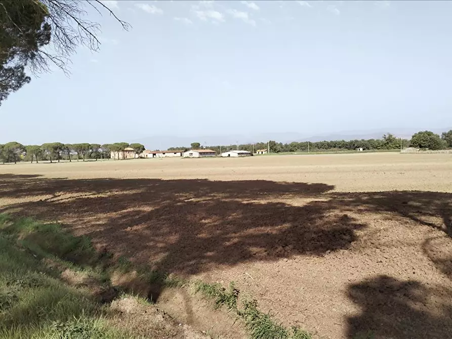 Immagine 3 di Azienda agricola in vendita  in via Piana a Castiglione Del Lago