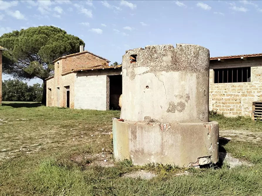 Immagine 6 di Azienda agricola in vendita  in via Piana a Castiglione Del Lago
