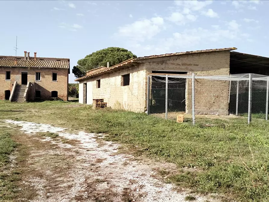 Immagine 1 di Azienda agricola in vendita  in via Piana a Castiglione Del Lago