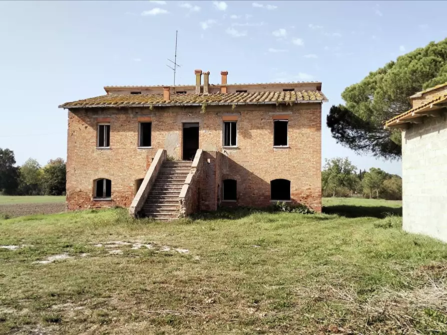 Immagine 8 di Azienda agricola in vendita  in via Piana a Castiglione Del Lago