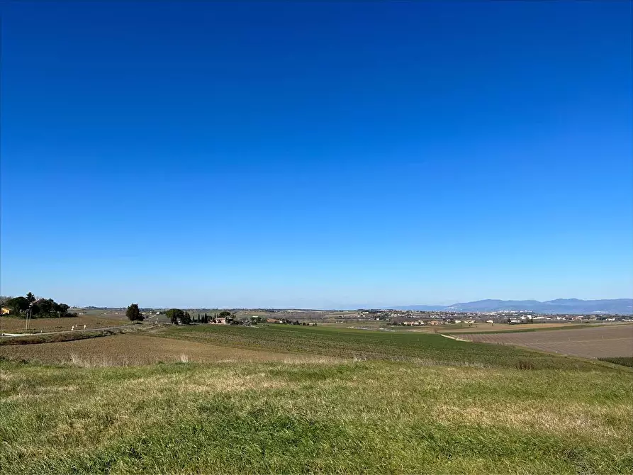 Immagine 2 di Terreno edificabile in vendita  a Paciano