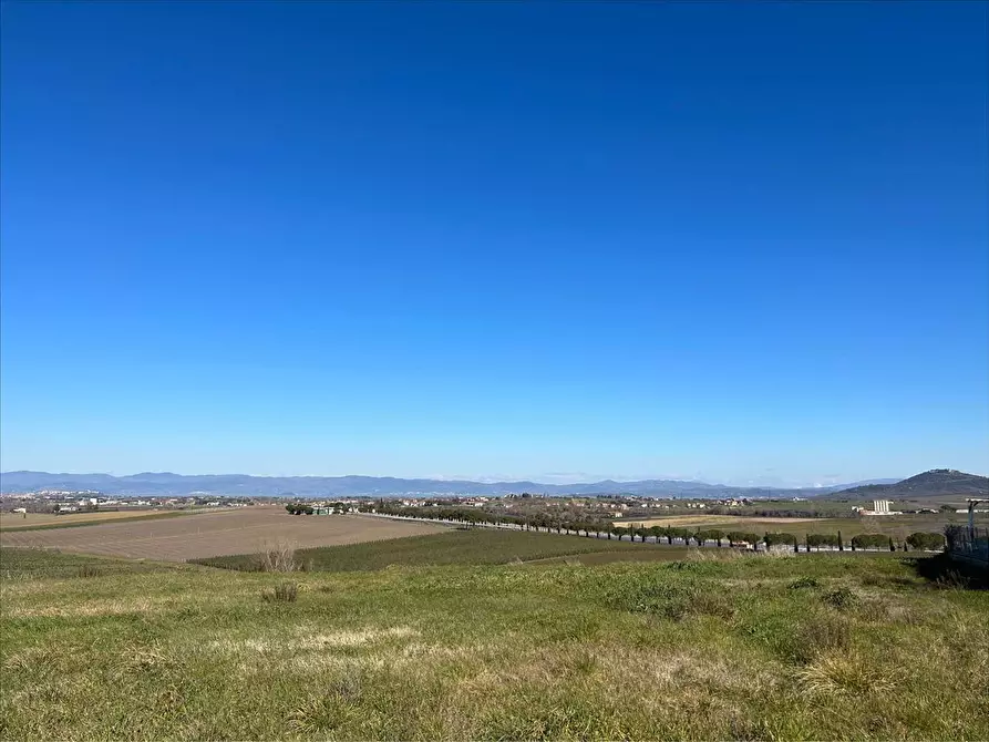 Immagine 4 di Terreno edificabile in vendita  a Paciano
