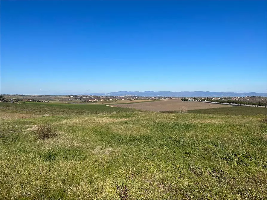 Immagine 5 di Terreno edificabile in vendita  a Paciano