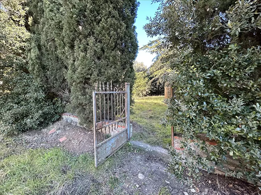 Immagine 5 di Rustico / casale in vendita  a Cortona