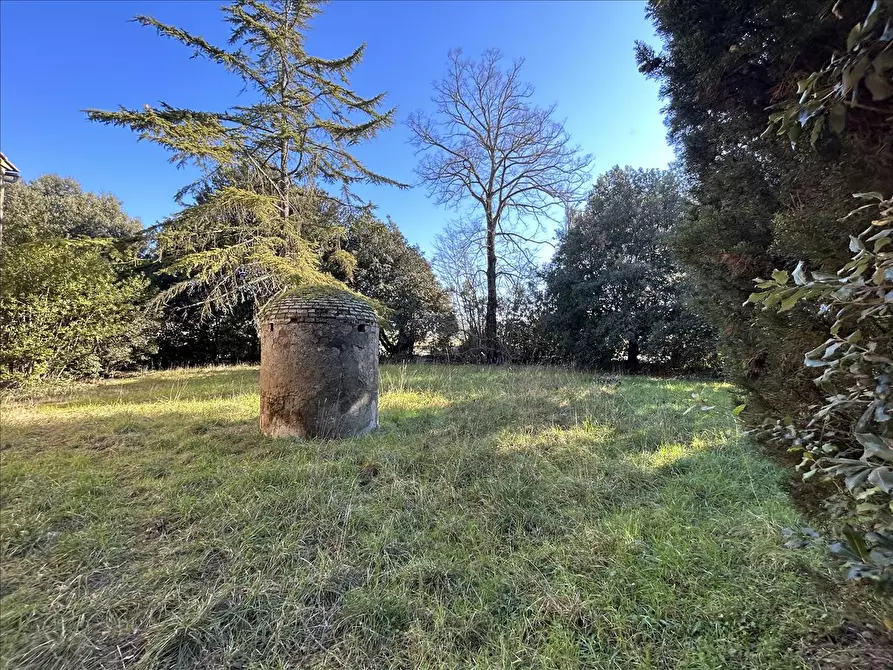 Immagine 6 di Rustico / casale in vendita  a Cortona