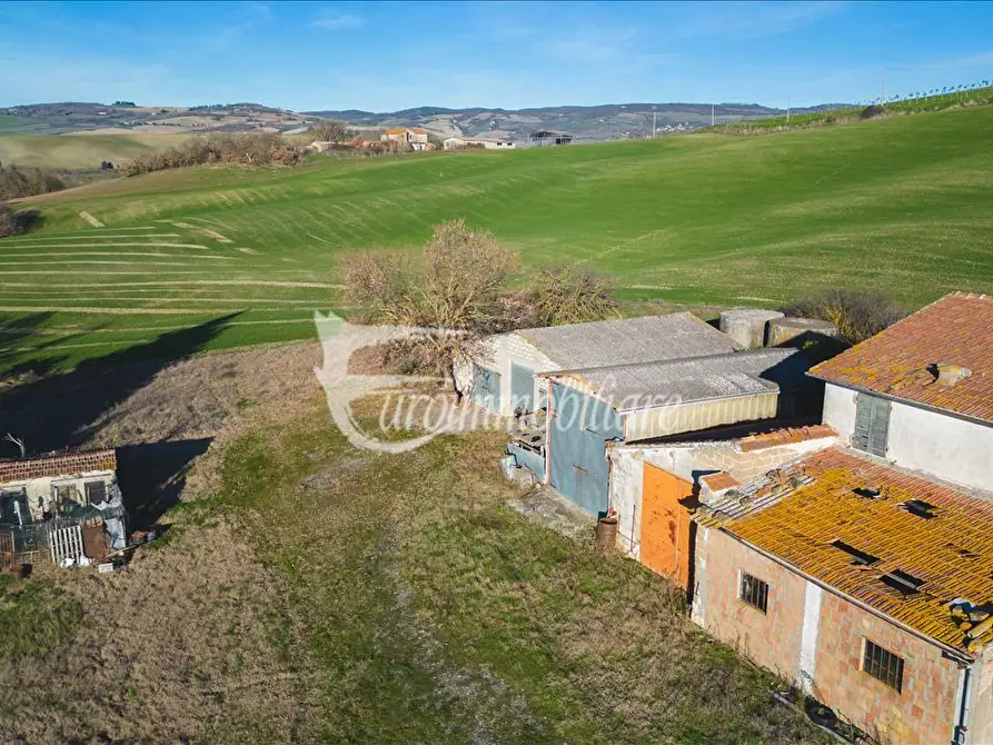 Immagine 9 di Azienda agricola in vendita  a Castiglione D'orcia